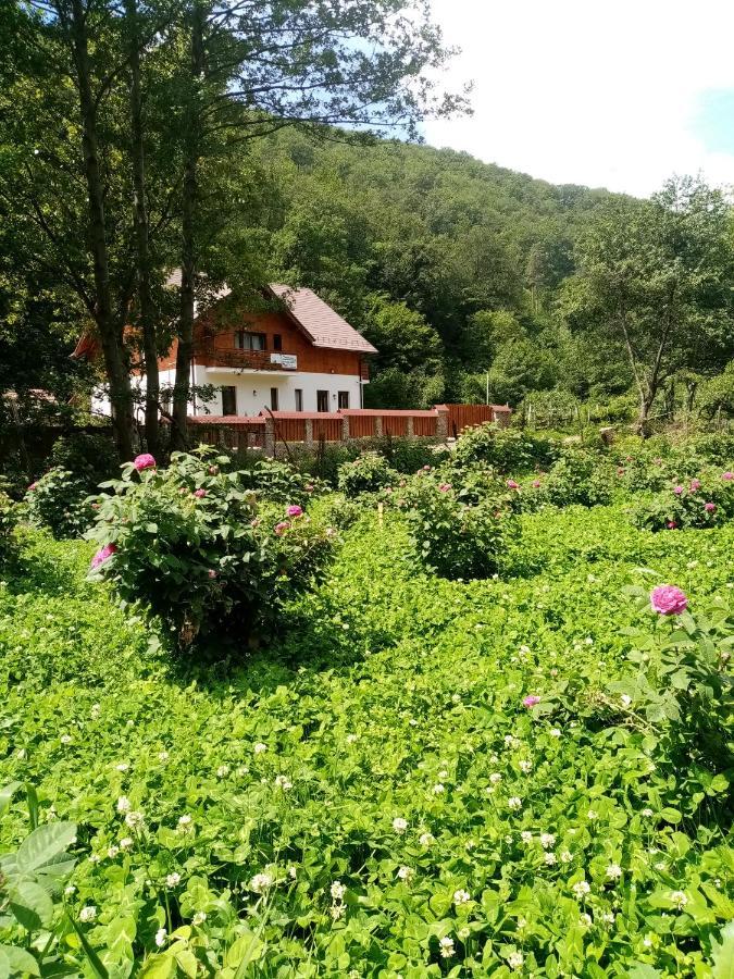 Livada Amely Hotel Gales ภายนอก รูปภาพ