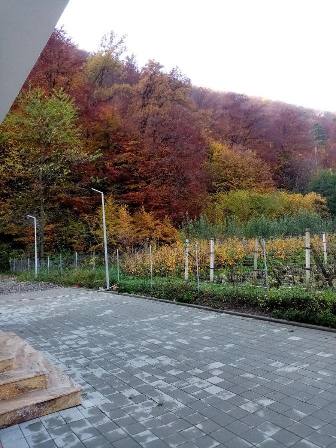 Livada Amely Hotel Gales ภายนอก รูปภาพ