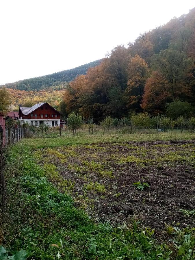 Livada Amely Hotel Gales ภายนอก รูปภาพ